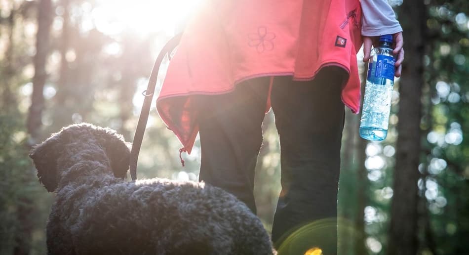 Image of picking up containers with dog