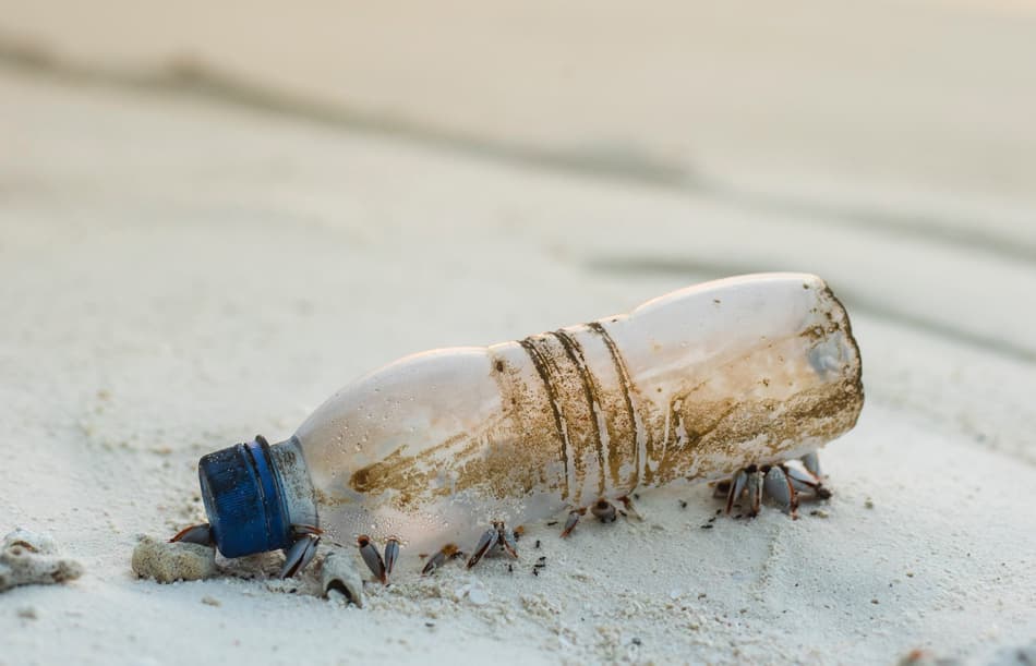 Dirty empty plastic bottle on beach