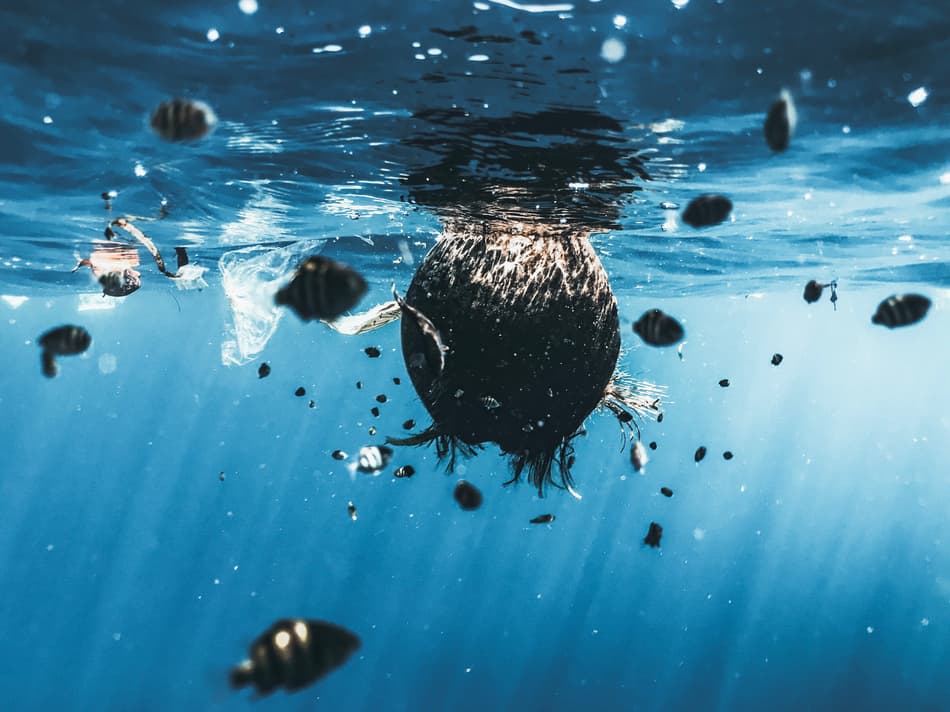 image of plastic pollution in the ocean