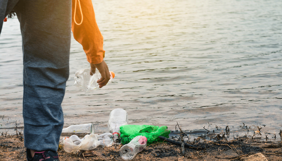 Collecting waste on beach