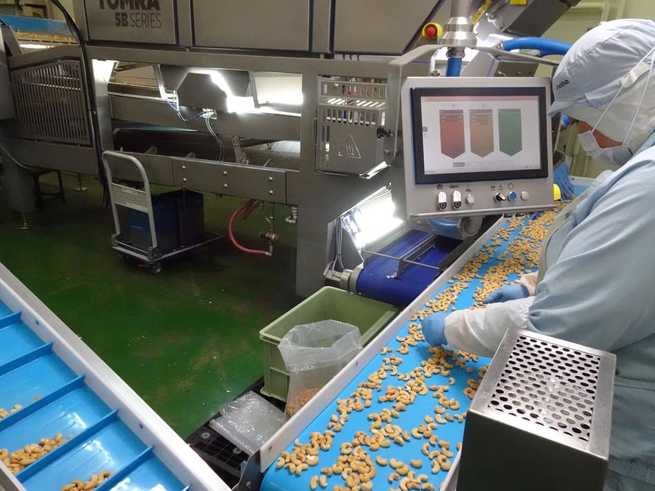 Inaba customer story, peanut sorting on the TOMRA 5B