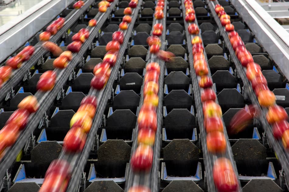 TOMRA apple sorting