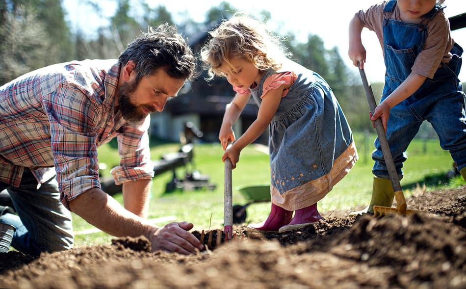 Food sustainability