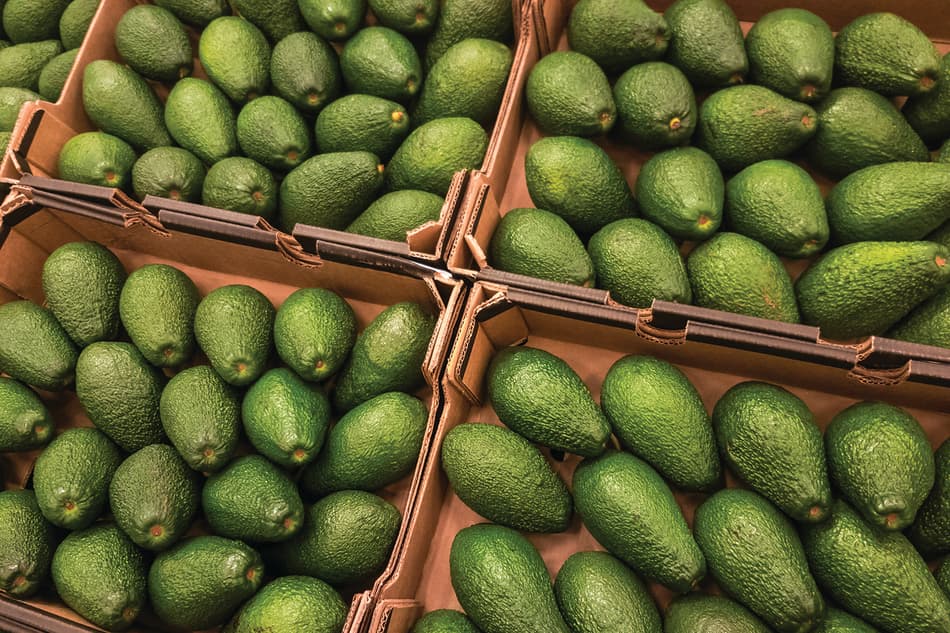 Avocados in baskets