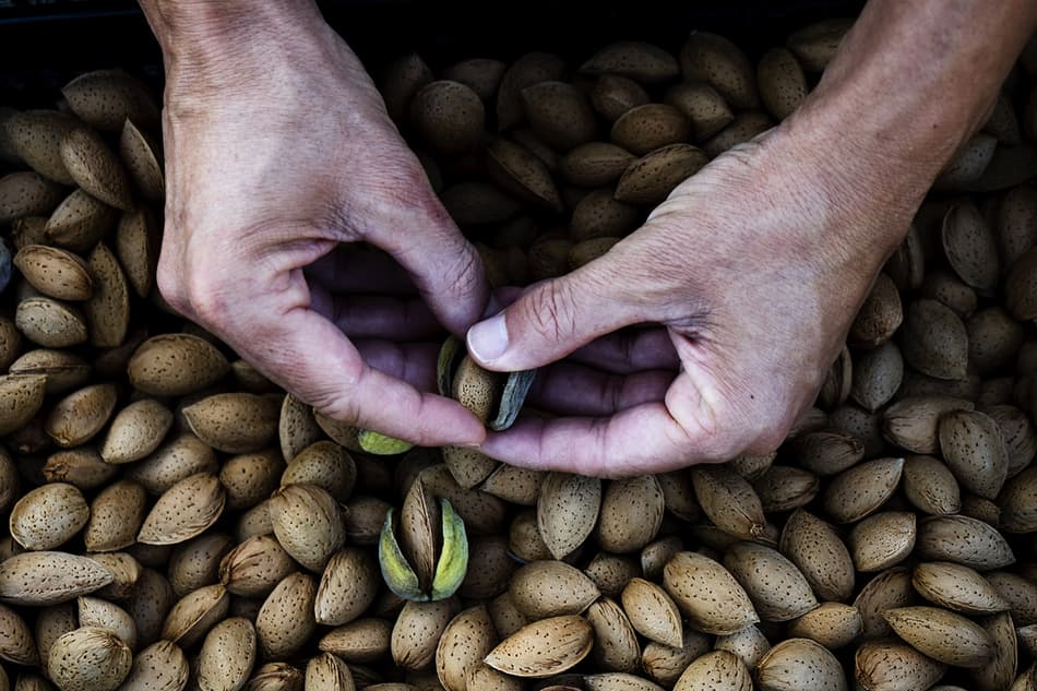 Peeling nuts manually