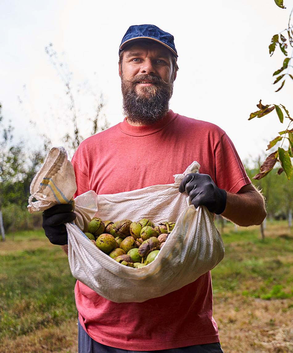 Carrying bag of nuts