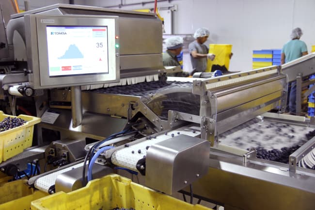 SoftSorter Banner