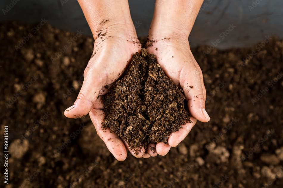 Processing Organic Waste For Your Compost with a Chipper Shredder