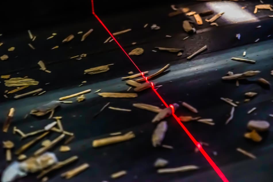 TOMRA_Scanning line wood