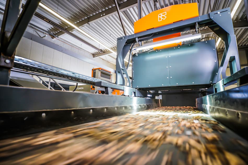wood sorting with autosort machine