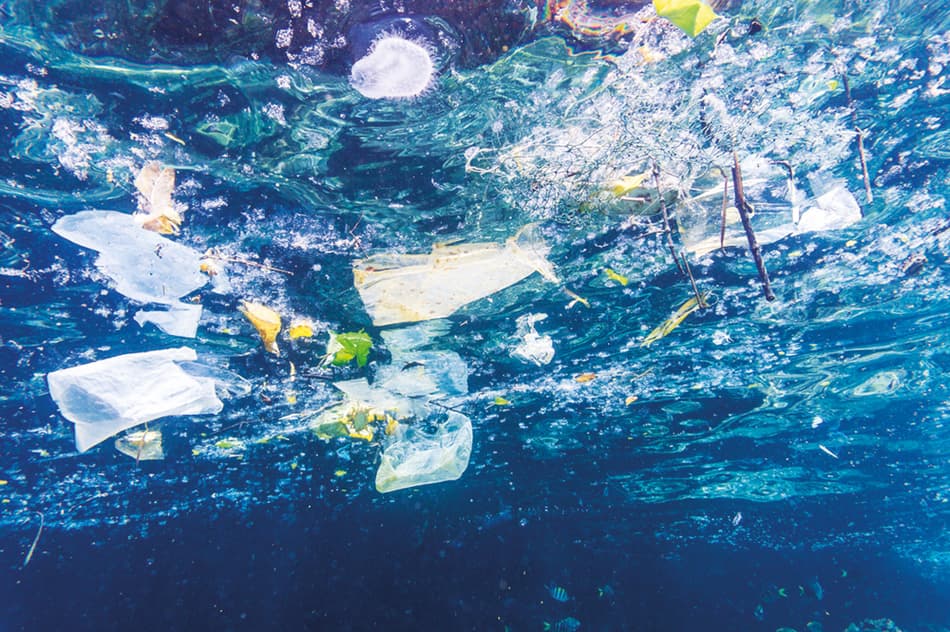 plastic pollution sea