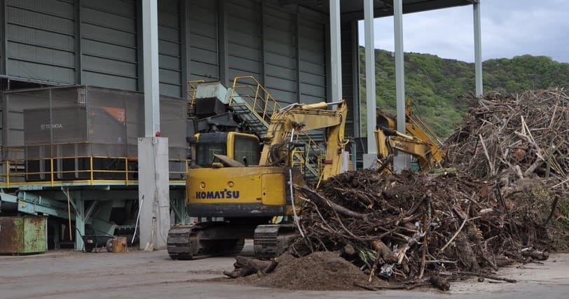 xrt technology wood sorting