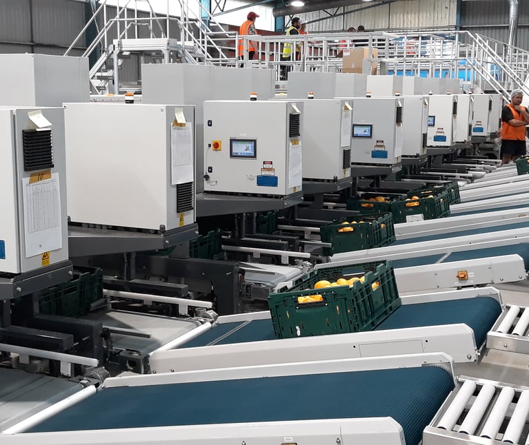 Gentle box filler WGBF: Máquina de clasificación de alimentos TOMRA