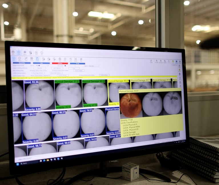 AI recognition for stonefruit